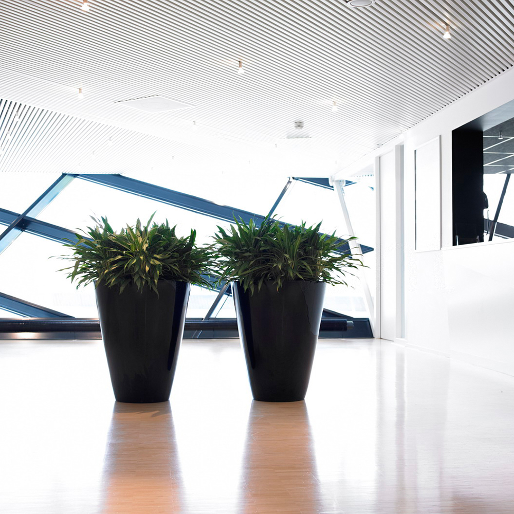 5 bijzonderheden van de klimaattop in Glasgow