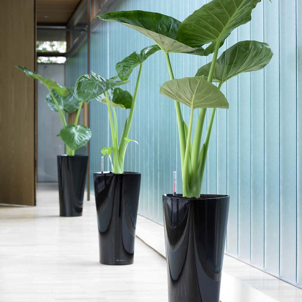 CSRD, CSDDD en EUDR: drie Europese wetten die uw keten raken