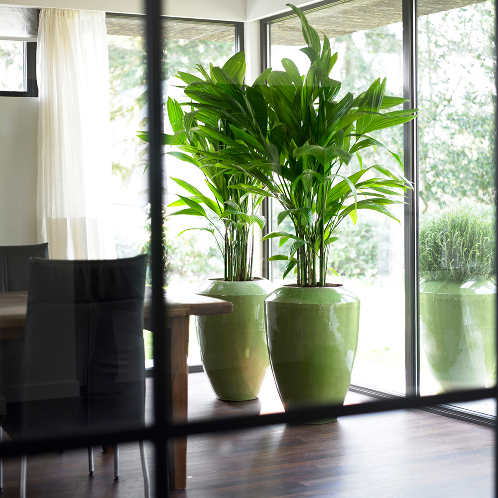 5 tips voor het opzetten van een effectieve ESG-strategie