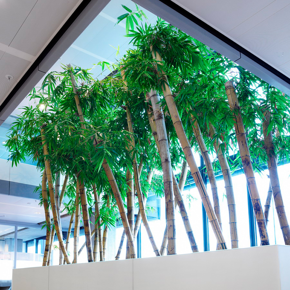 Scope 2 in beweging: wat verandert er in de GHG Protocol standaard?