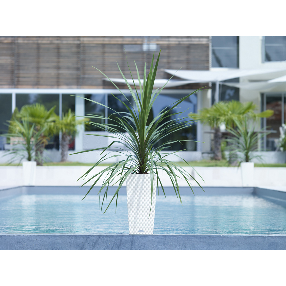 MAAS publiceert als een van de eerste een ESRS/CSRD-verslag