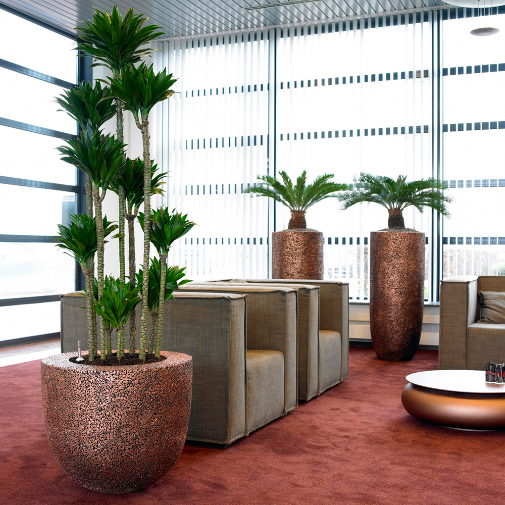 Natuurbehoud en biodiversiteit binnen de ESRS: wat moet u rapporteren?