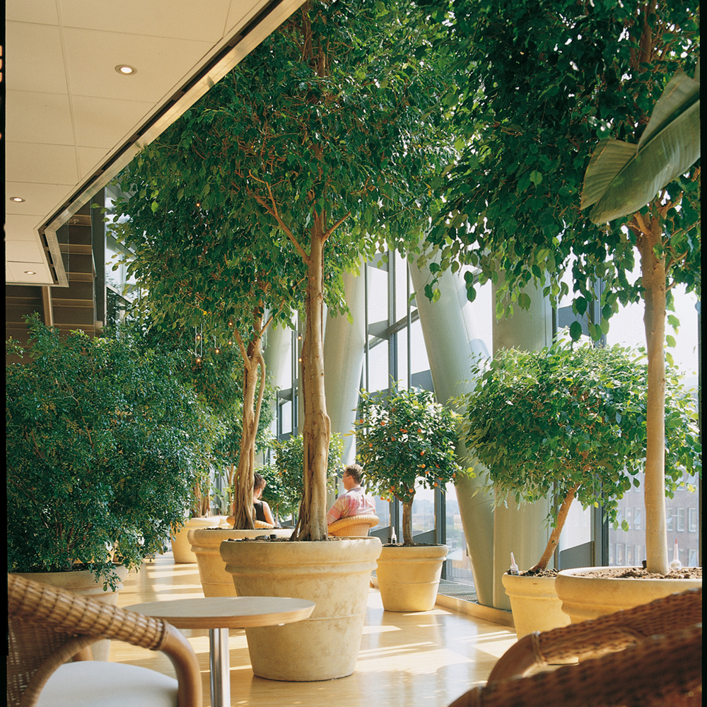 EU klimaatbeleid 2040, Artikel 6 credits en de nieuwe SBTi draft: wat bedrijven moeten weten