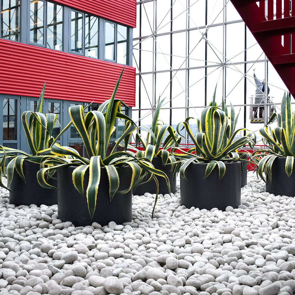 Kroll SR EcoVadis dienstverlening