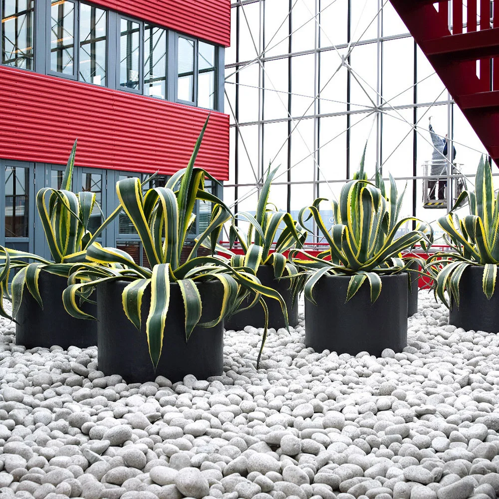 Kroll SR EcoVadis dienstverlening